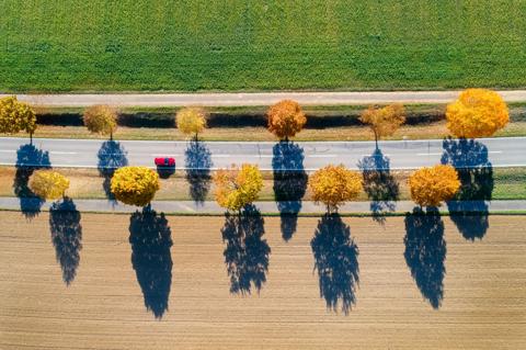 Red car going on the road planted with trees between fields in autumn, Bavaria, Germany, aerial view.