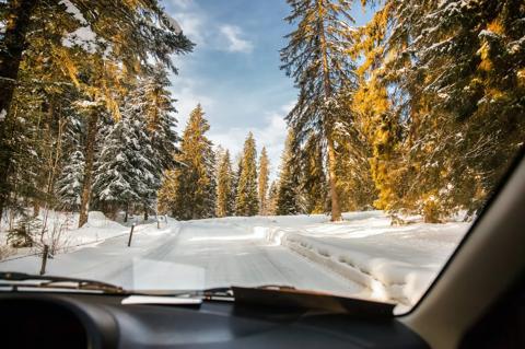 Car driving on snowy forest road